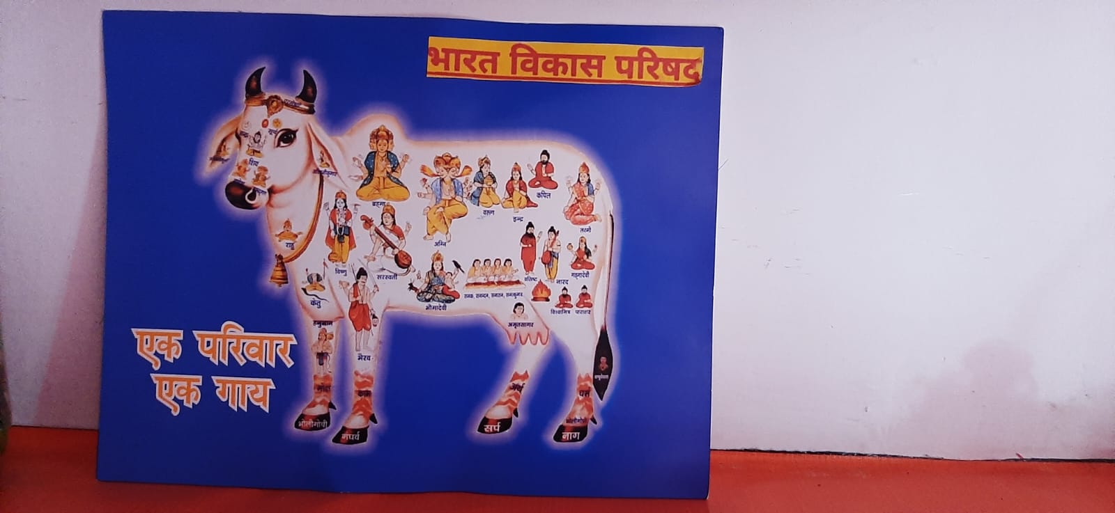 Cow Protection & Gaushala