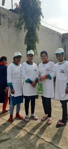 जूट फैब्रिक और फाईबर